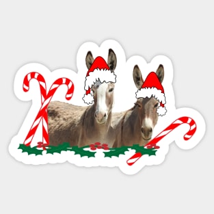 Wildlife, gifts, Christmas, donkeys, wild burros, Oatman, Arizona Sticker